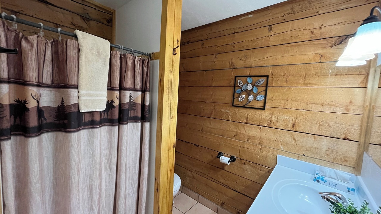 Photo of Bathroom in Almont