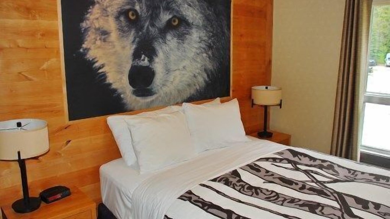 Photo of Others in Banff