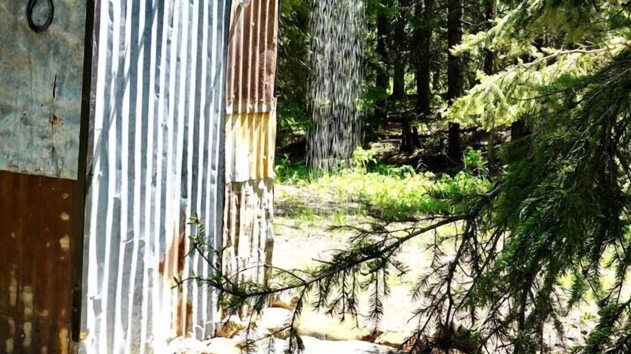 Photo of Outdoor in Waiparous Village