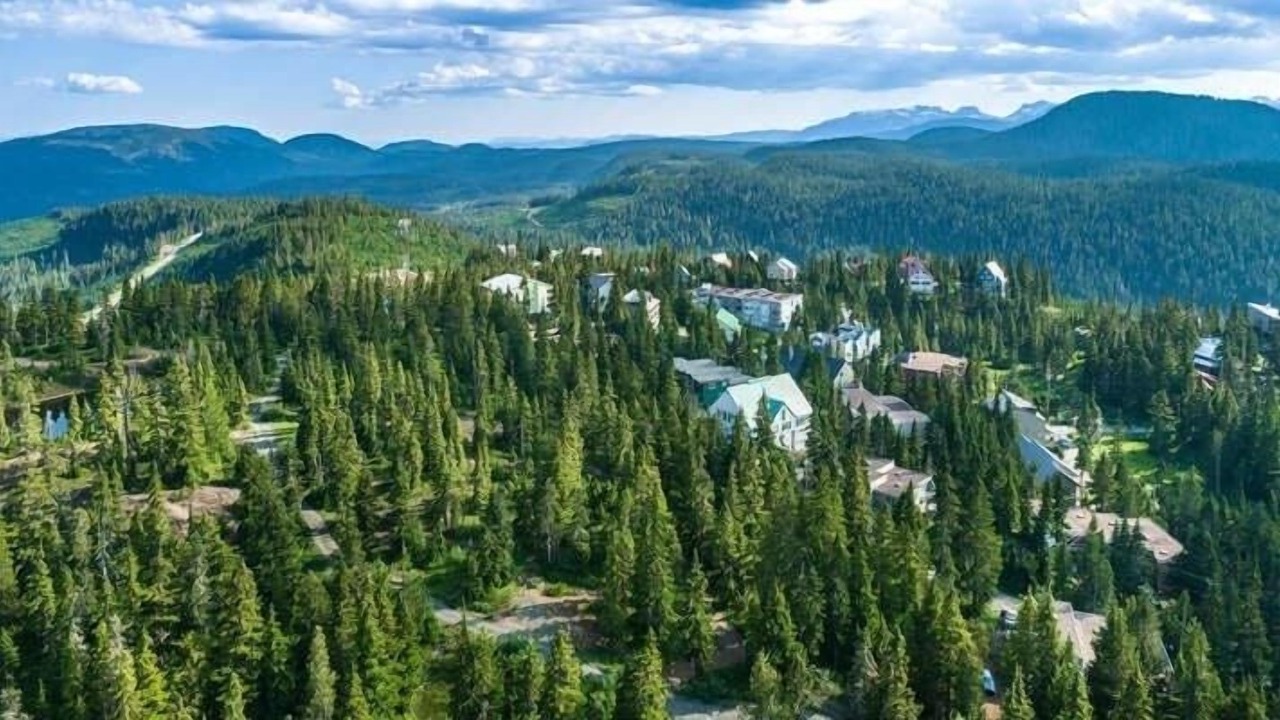 Photo of Outdoor in Black Creek