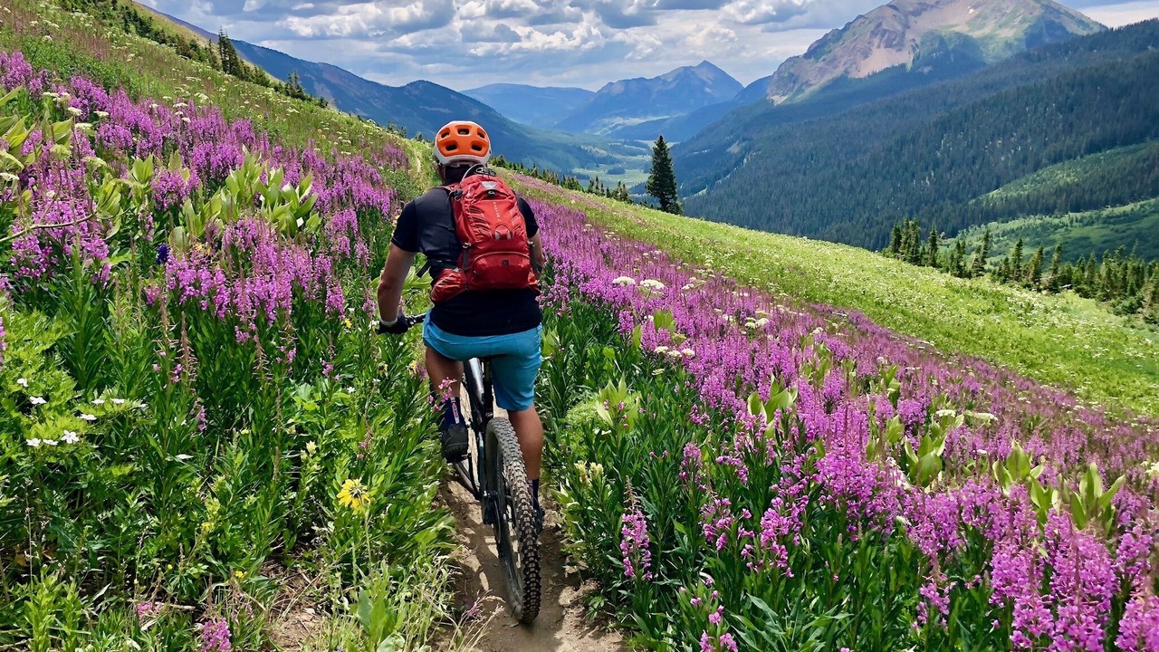 Photo of Others in Mount Crested Butte