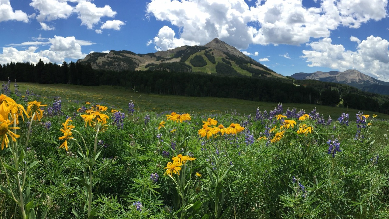Photo of Others in Mount Crested Butte