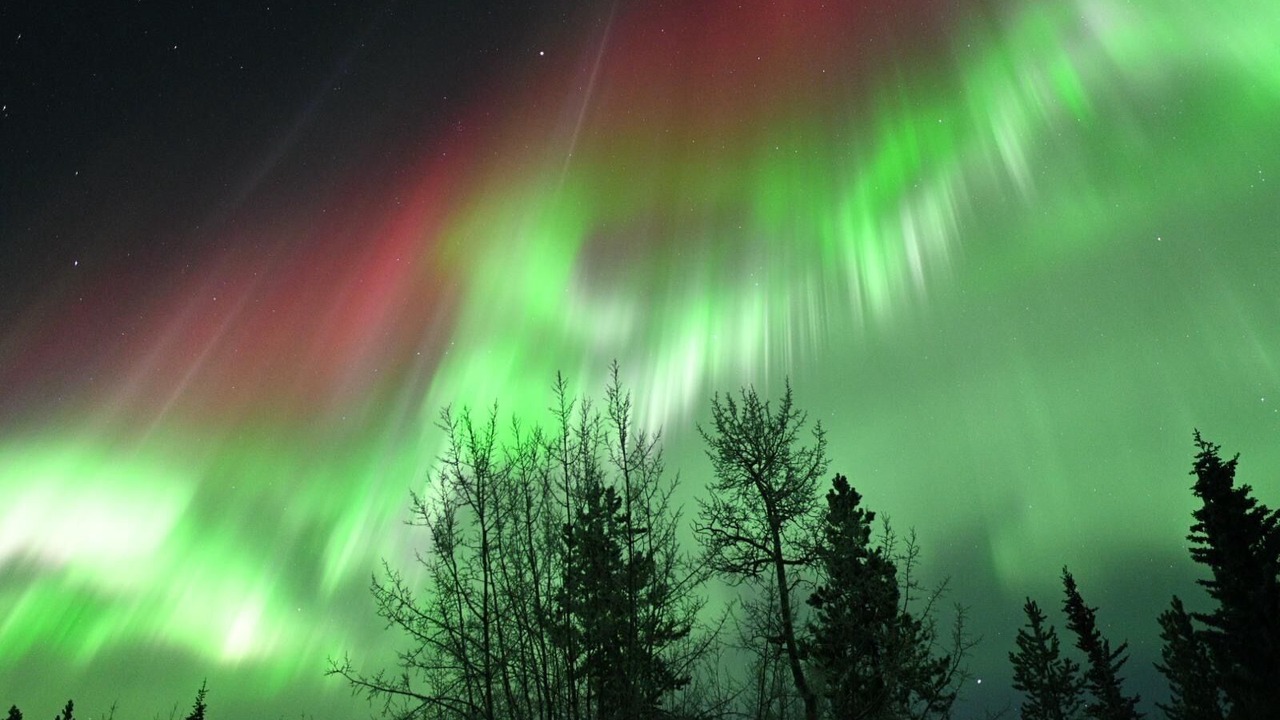 Photo of Others in Whitehorse