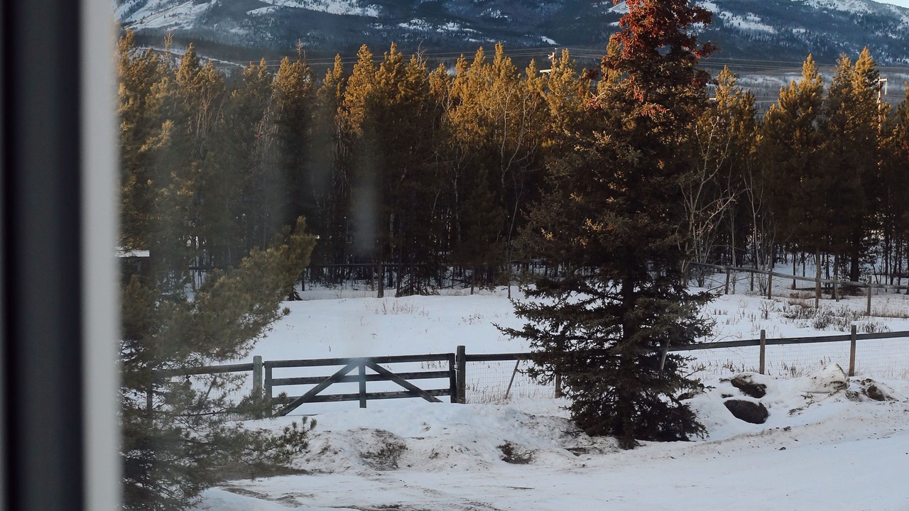 Photo of Others in Whitehorse