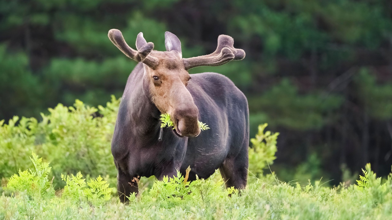 Photo of Others in Winter Park