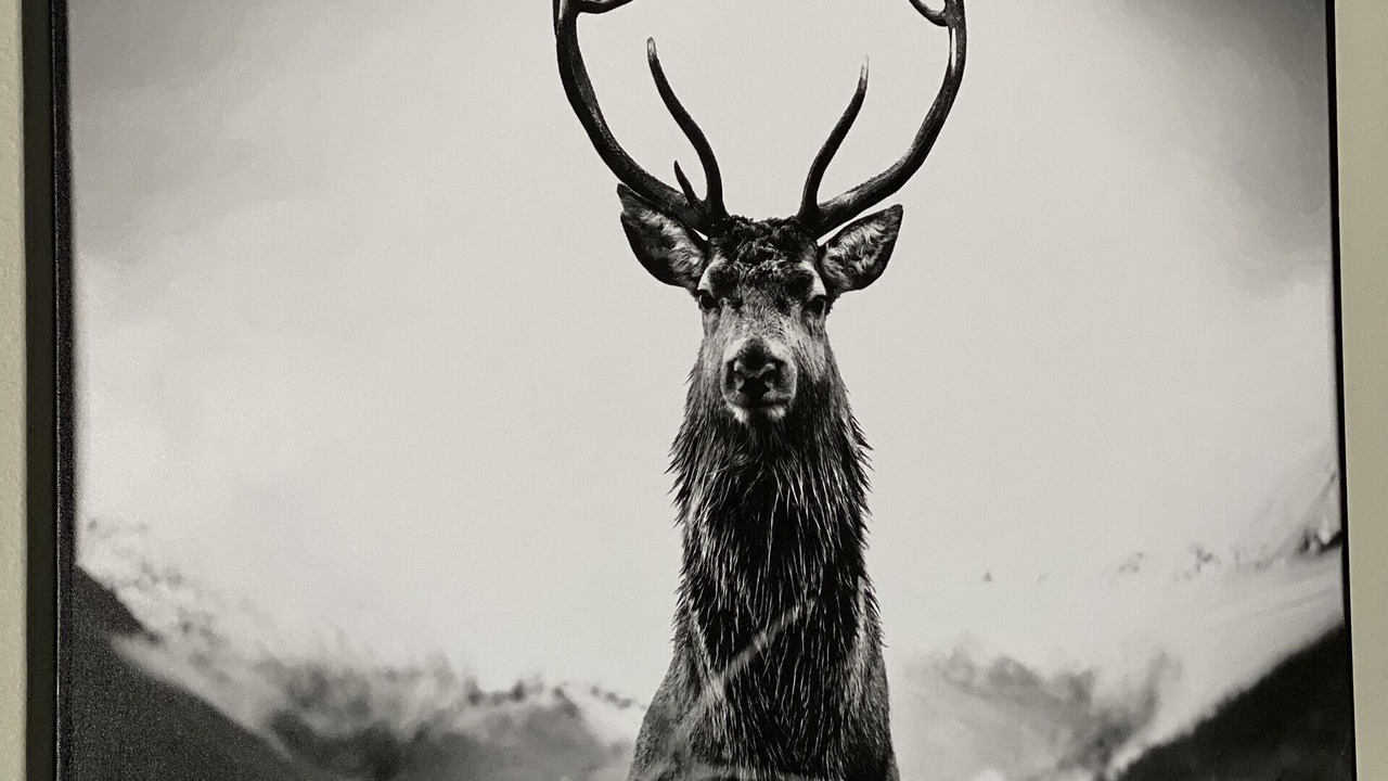 Photo of Others in Winter Park
