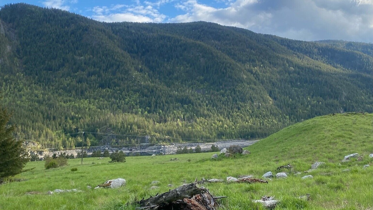 Photo of Others in Robson