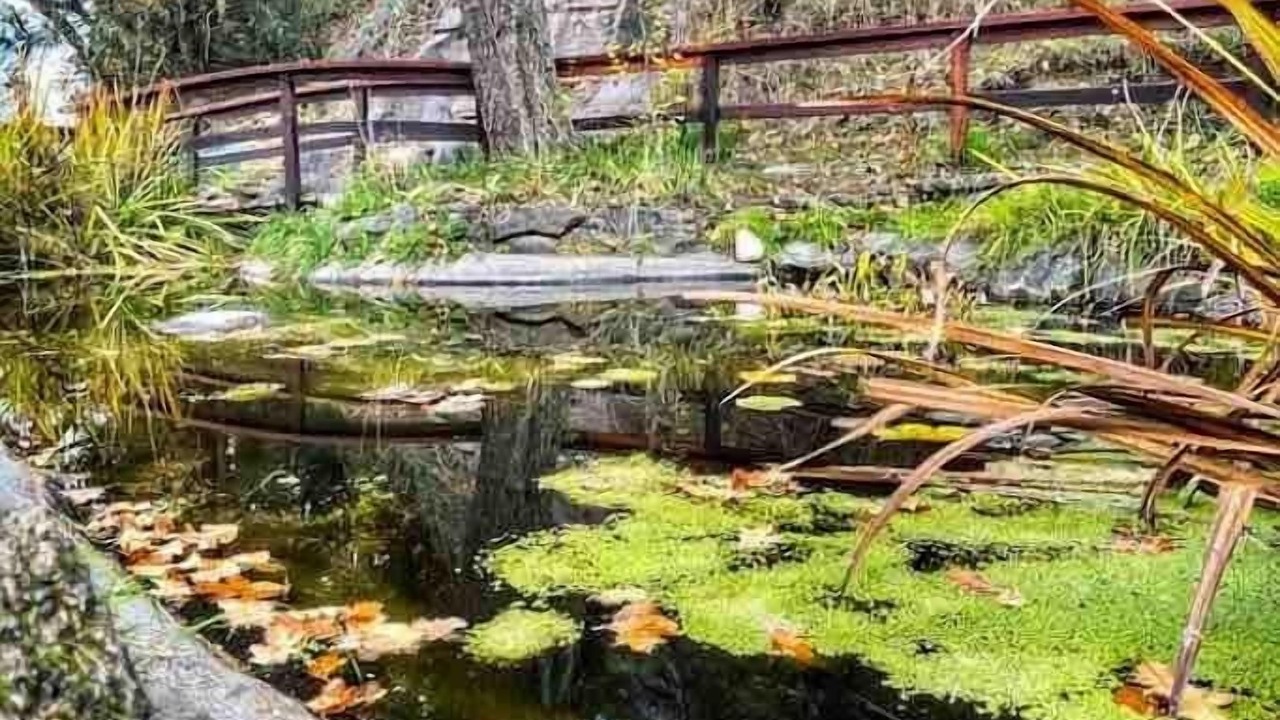 Photo of Outdoor in Regional District of Nanaimo