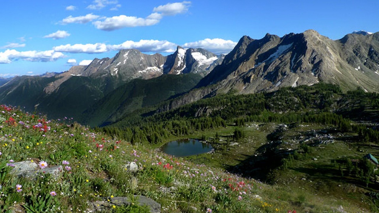 Photo of Others in East Kootenay