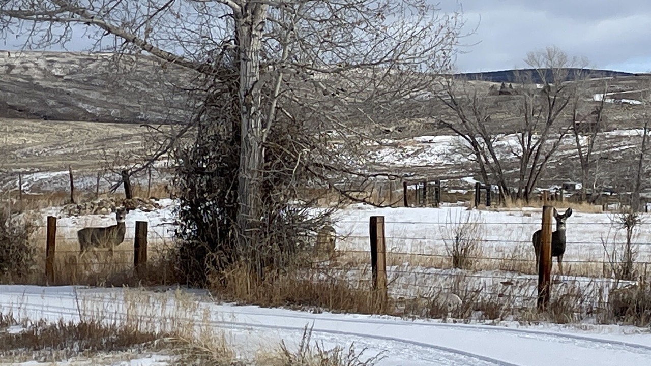 Photo of Others in Gunnison