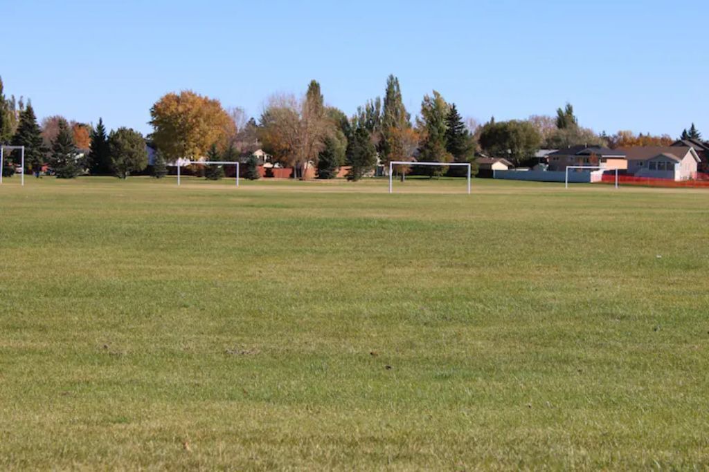 Photo of Others in Lethbridge