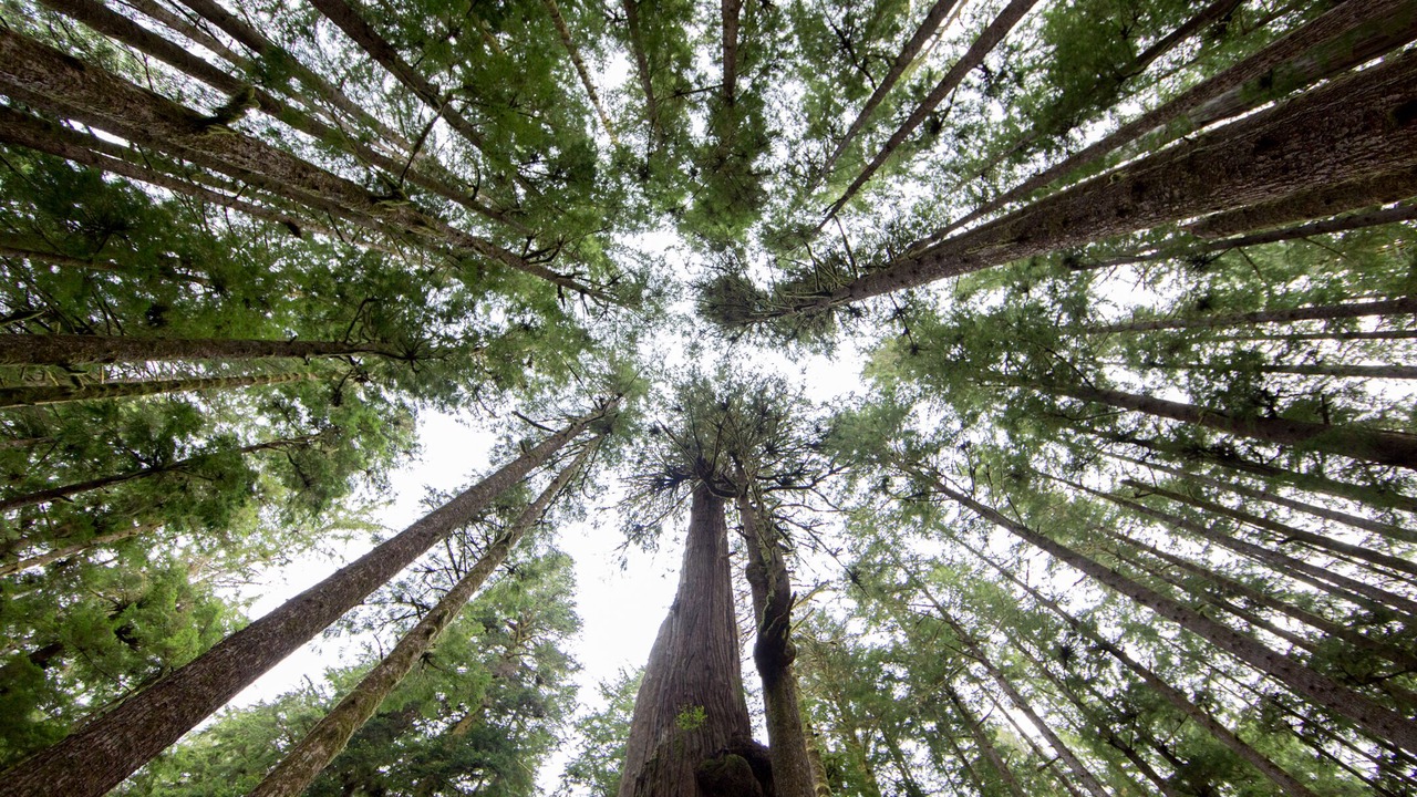 Photo of Outdoor in Juan de Fuca Electoral Area