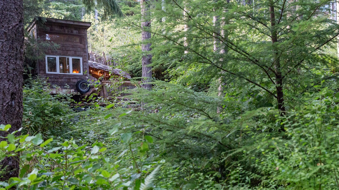 Photo of Outdoor in Juan de Fuca Electoral Area