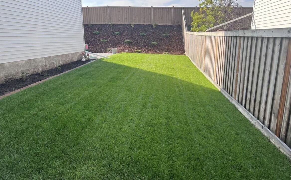 Photo of Outdoor in Clairmont