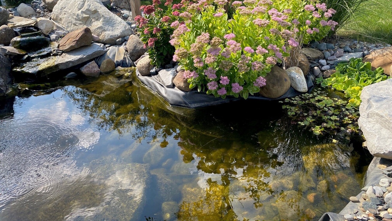 Photo of Outdoor in Strongsville