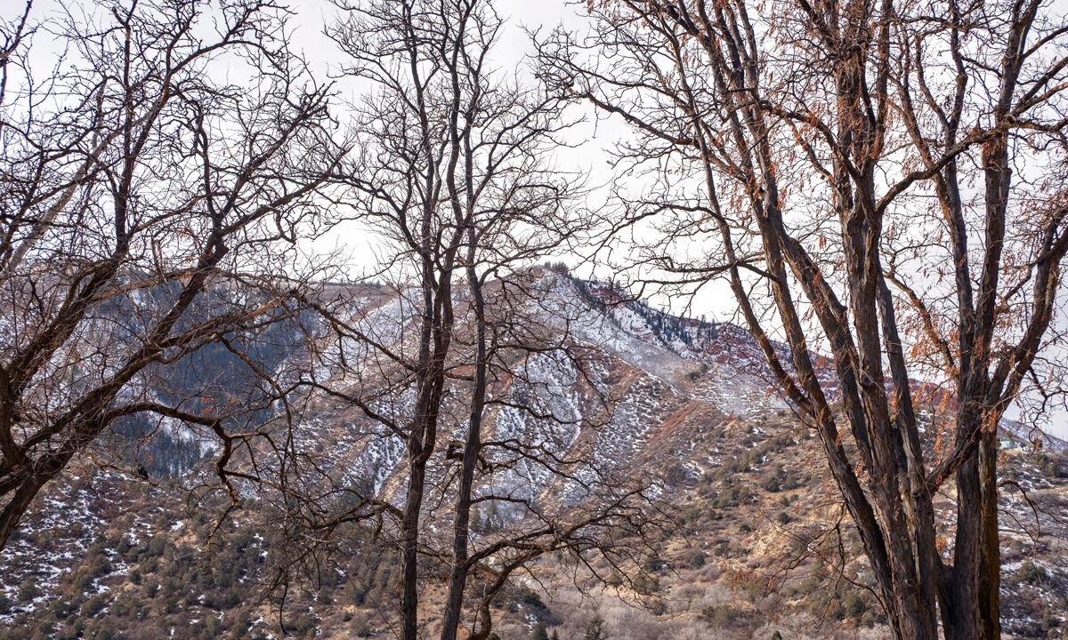 Photo of Others in Glenwood Springs