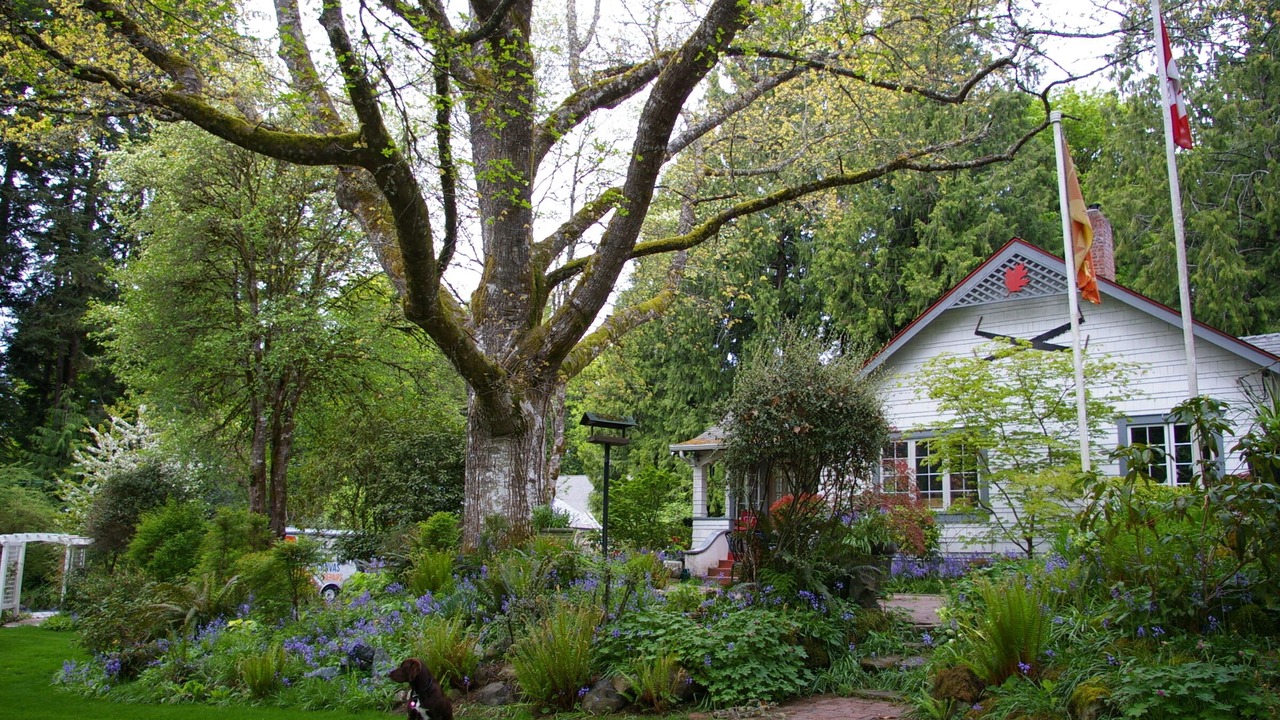 Photo of Others in Sooke