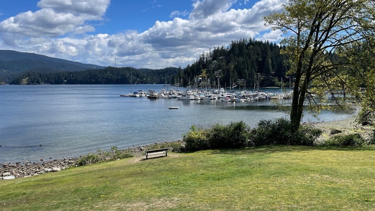 Photo of Others in Deep Cove
