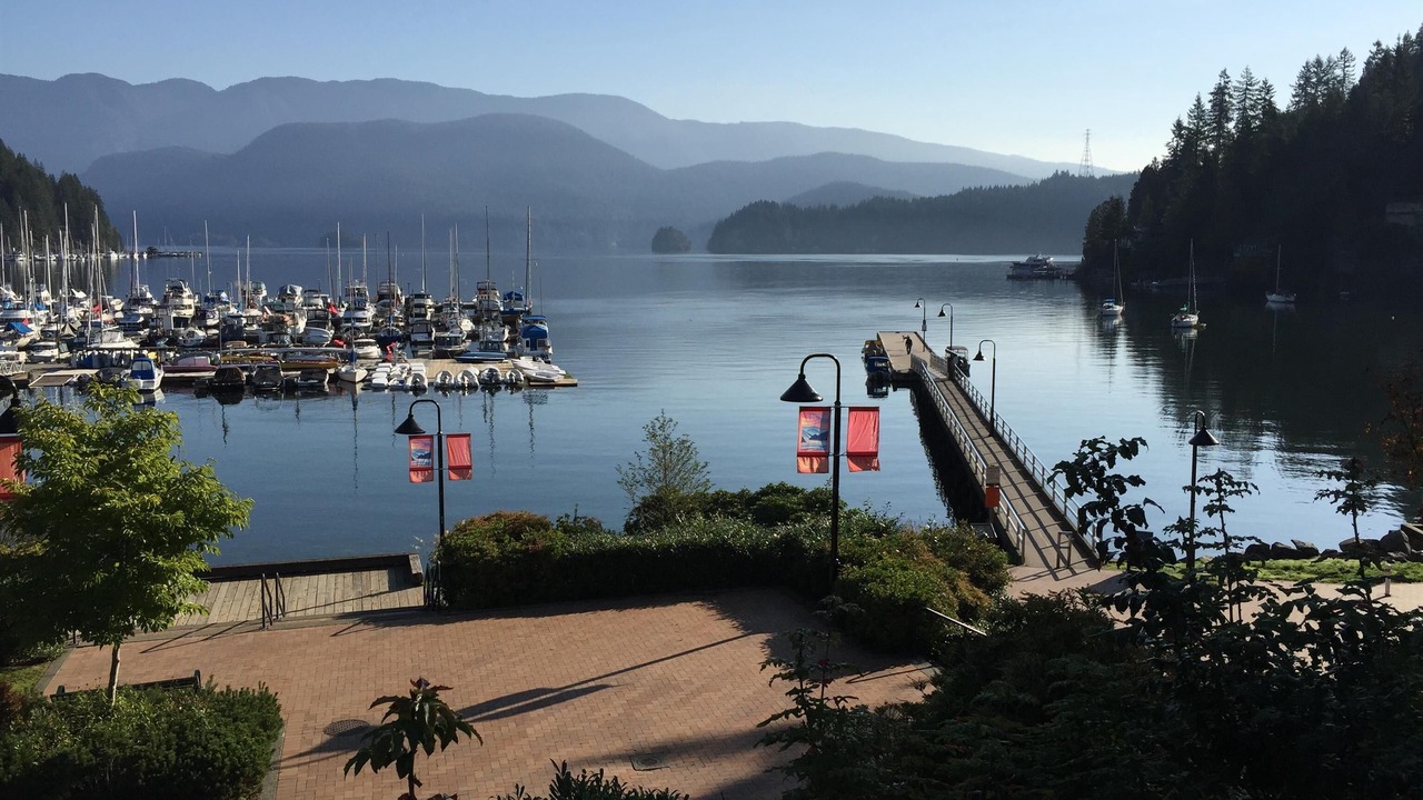 Photo of Others in Deep Cove