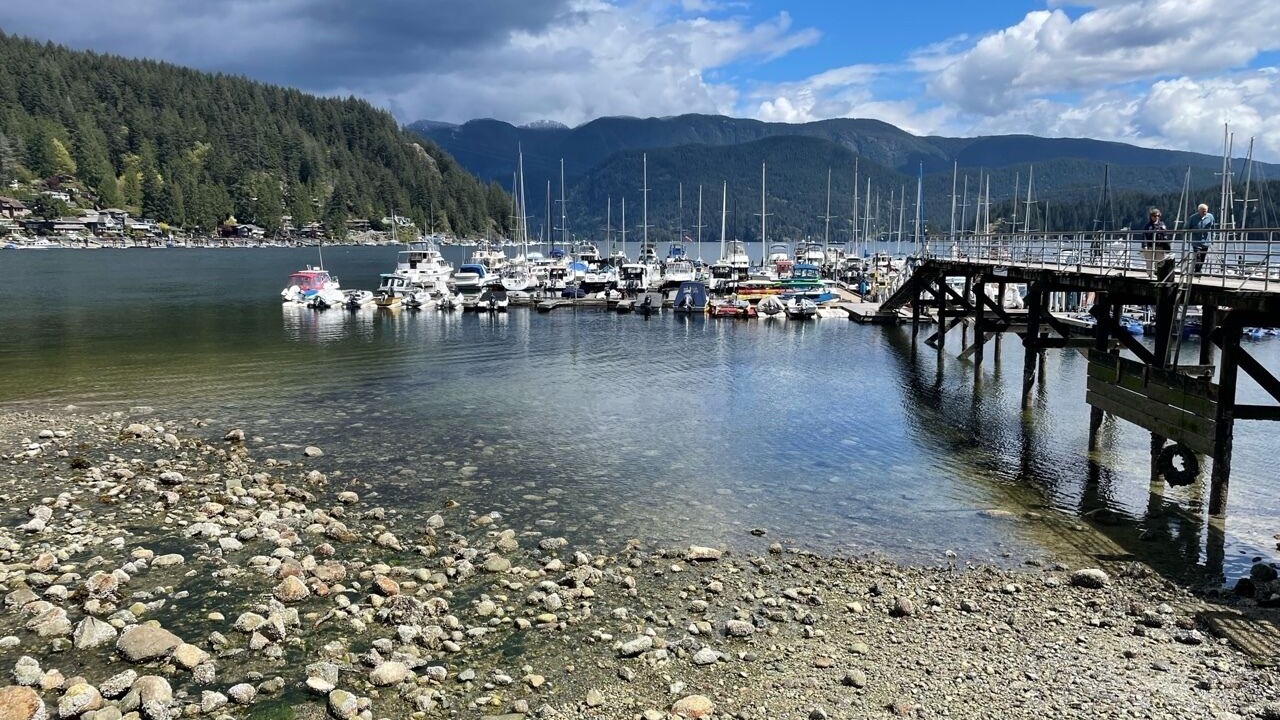 Photo of Others in Deep Cove