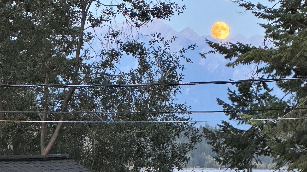 Photo of Others in East Kootenay