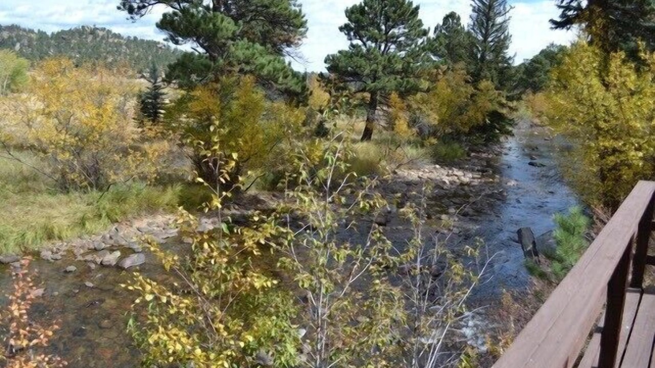 Photo of Others in Estes Park