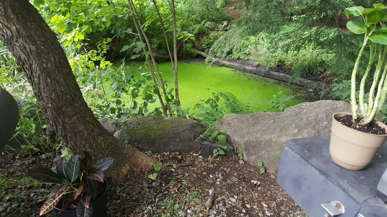 Photo of Outdoor in Diamond Point
