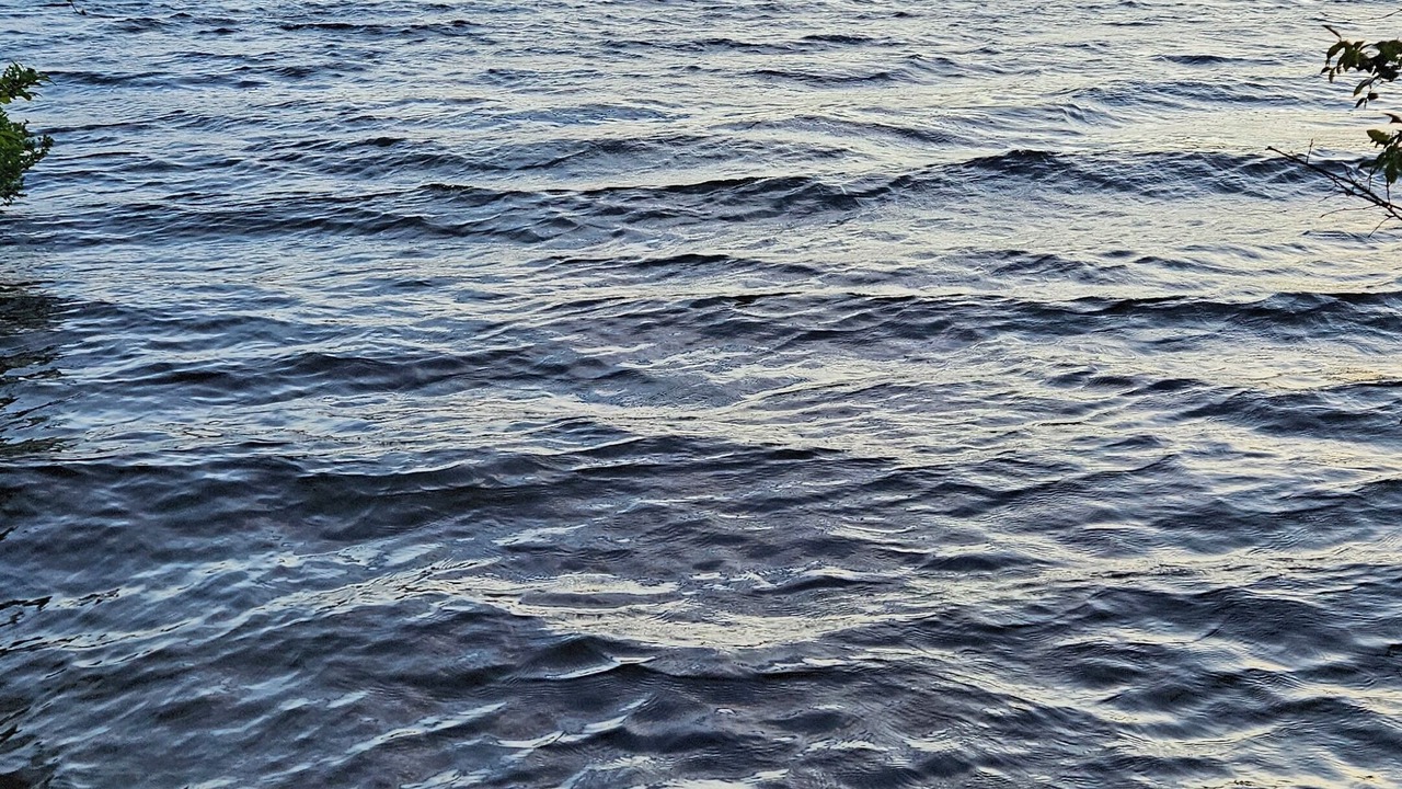 Photo of Others in Shawnigan Lake