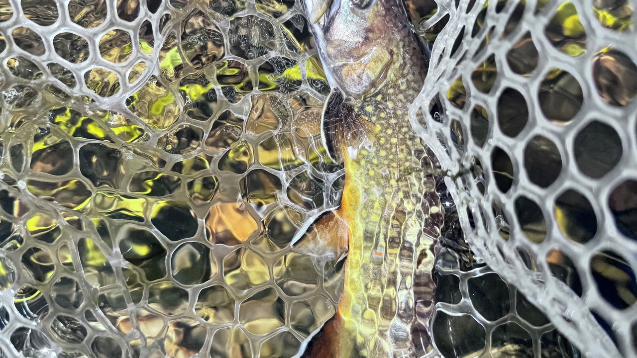 Photo of Others in Lake City
