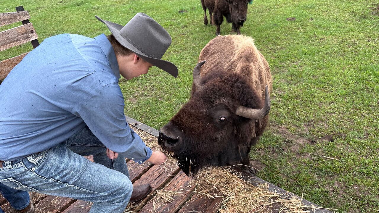 Photo of Others in Sublette County