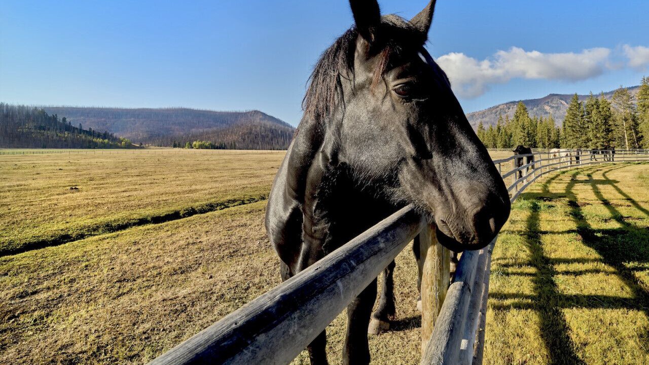 Photo of Others in Sublette County
