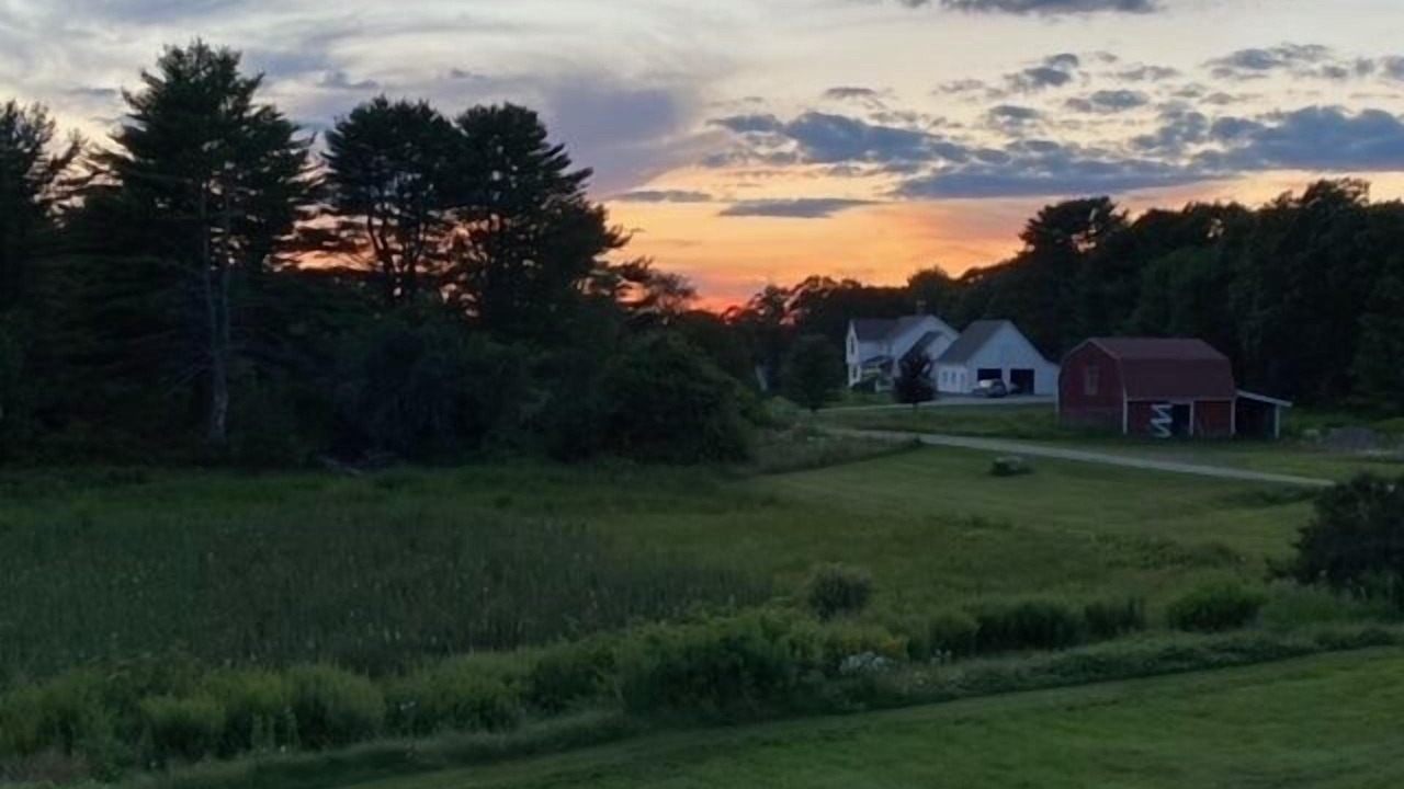 Photo of Others in Walpole