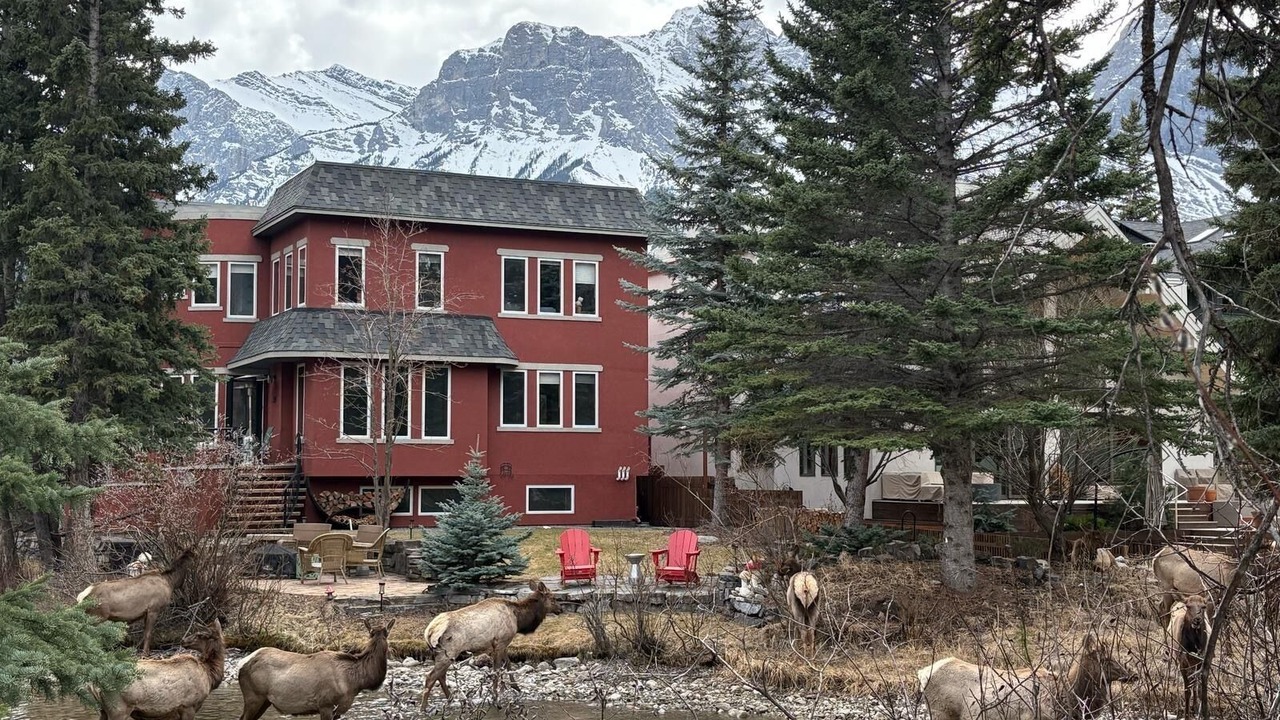 Photo of Outdoor in Canmore