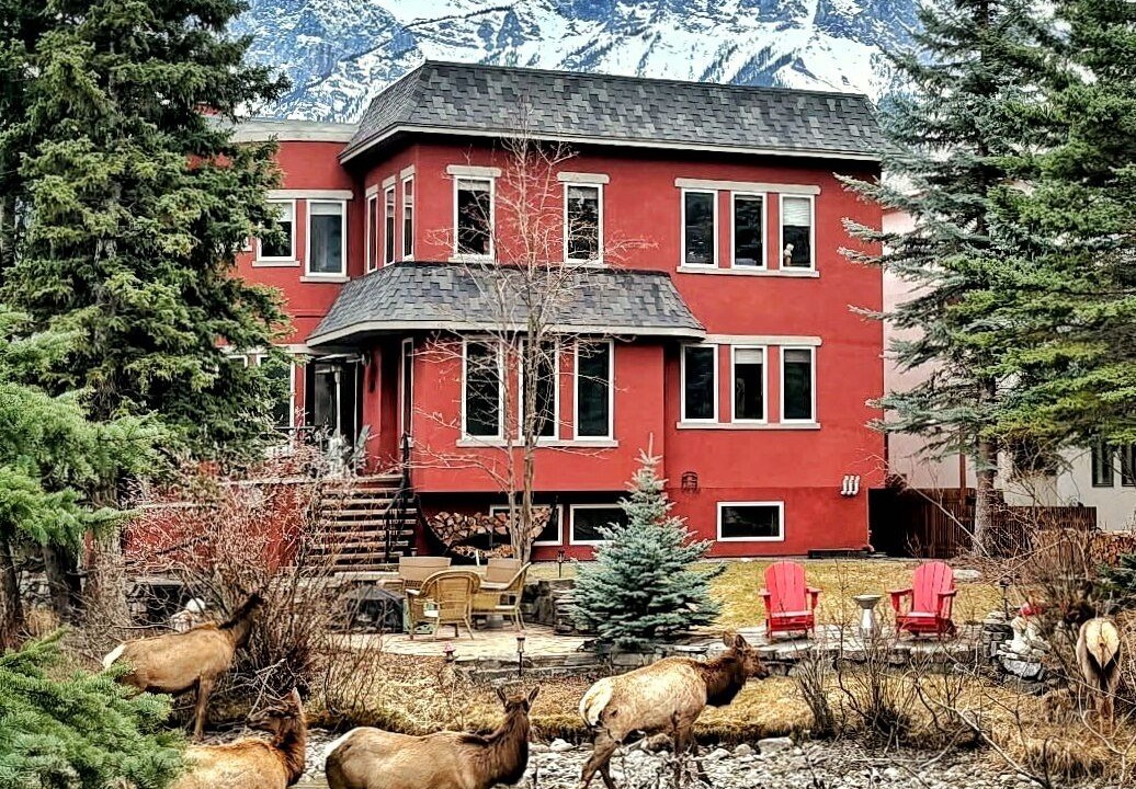 Photo of Outdoor in Canmore
