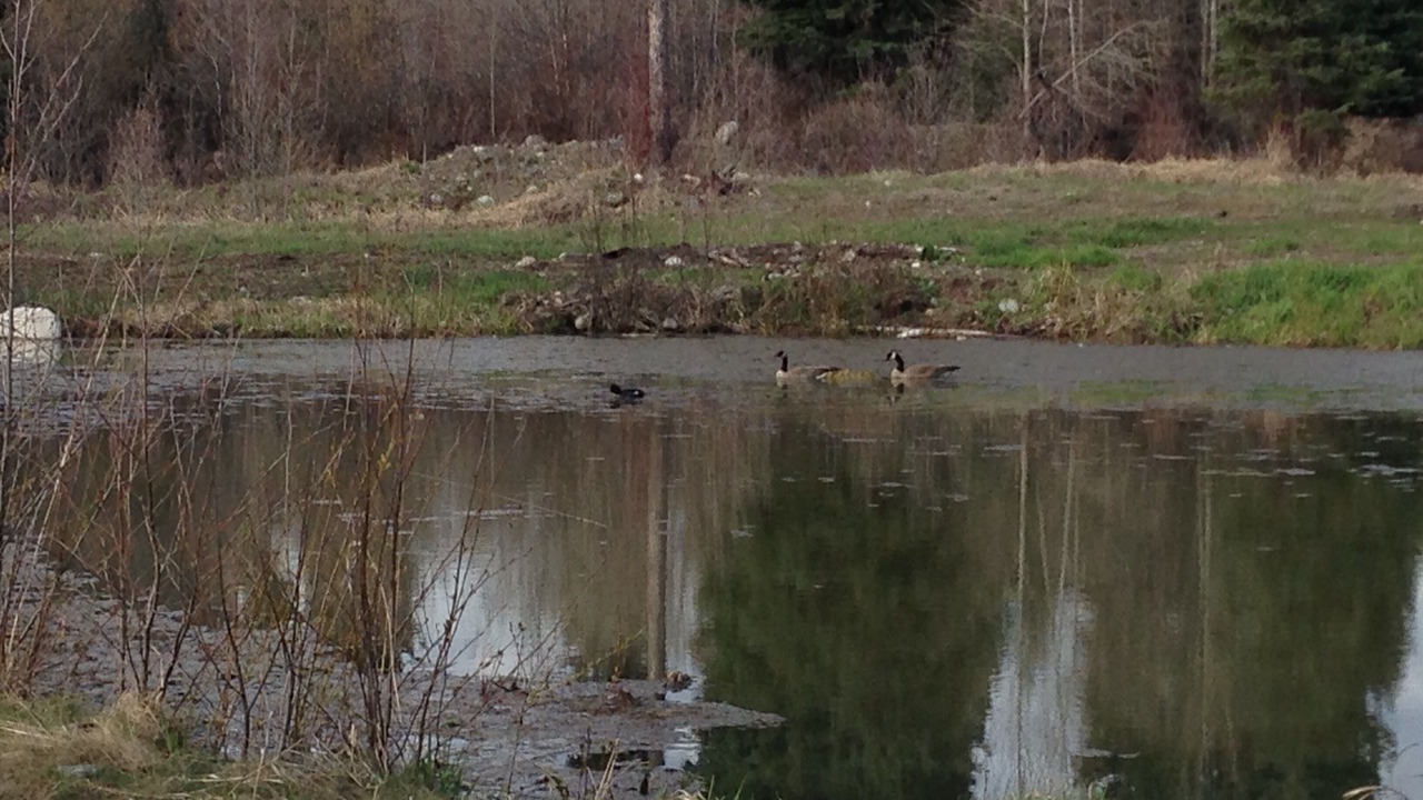 Photo of Others in Okanagan-Similkameen