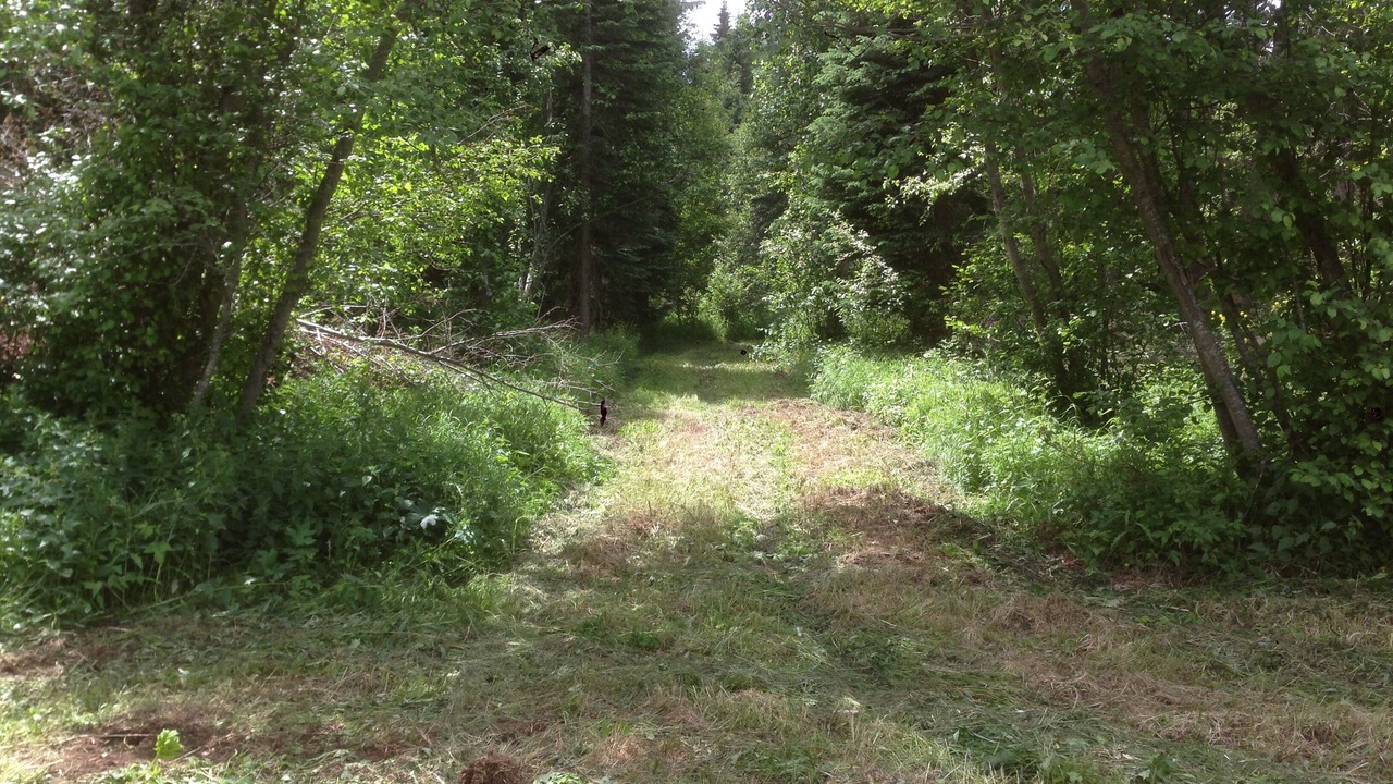 Photo of Others in Okanagan-Similkameen
