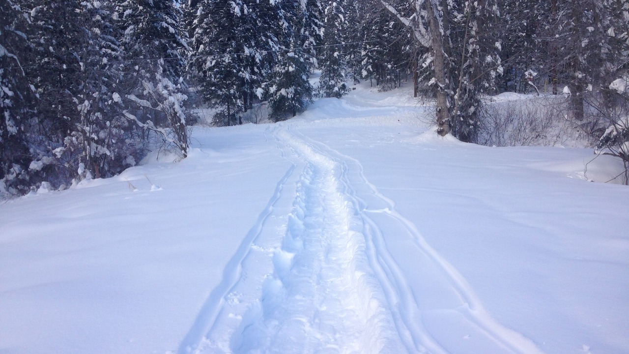 Photo of Others in Okanagan-Similkameen