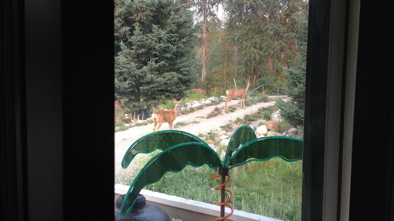 Photo of Others in Okanagan-Similkameen