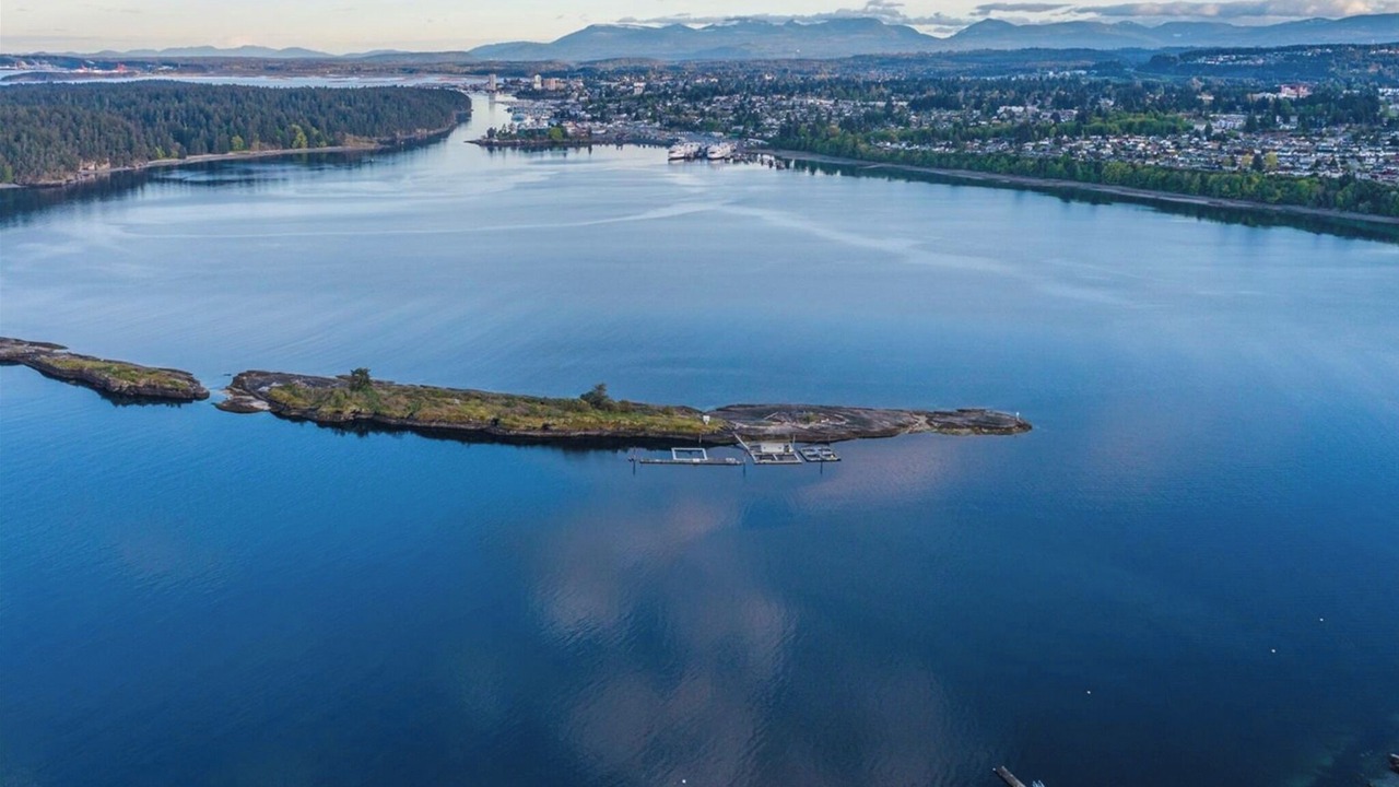 Photo of Outdoor in Departure Bay