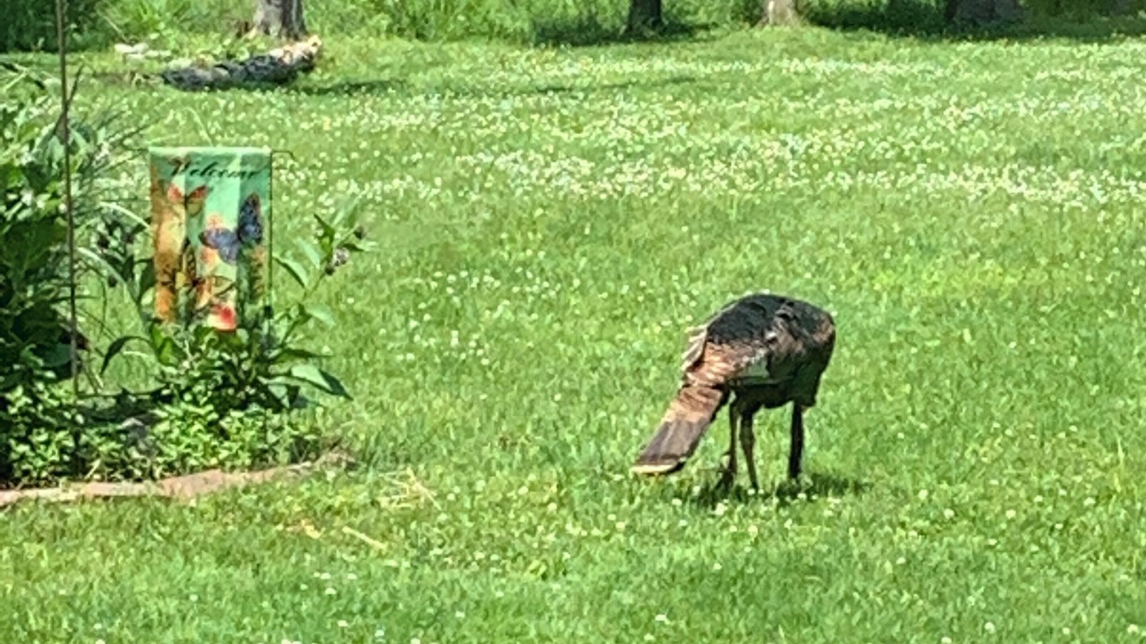 Photo of Others in Hudson