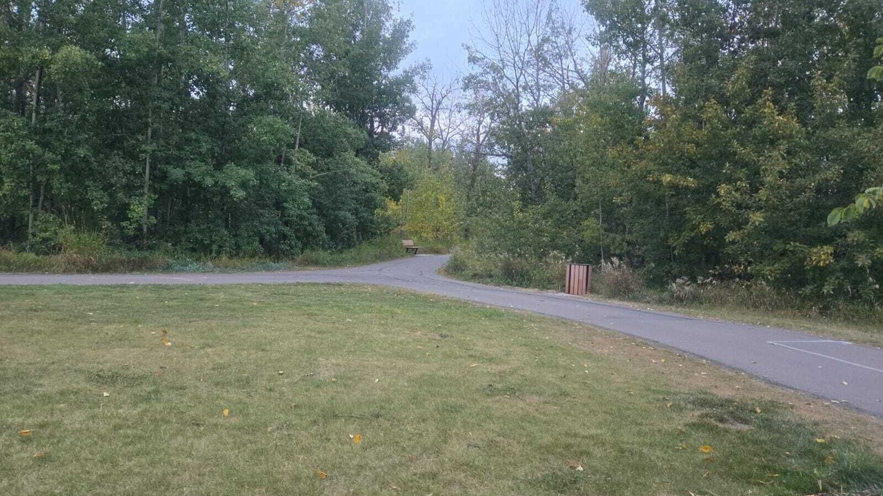 Photo of Others in West Edmonton