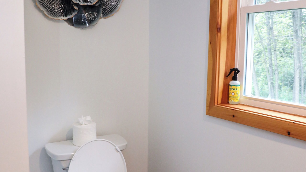 Photo of Bathroom in Hinesburg