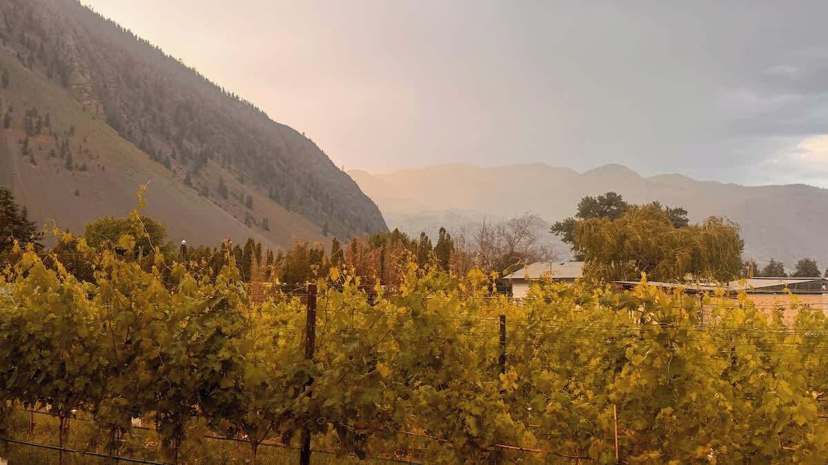 Photo of Others in Okanagan-Similkameen