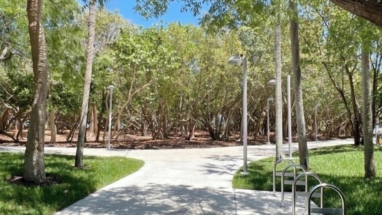 Photo of Outdoor in North Beach