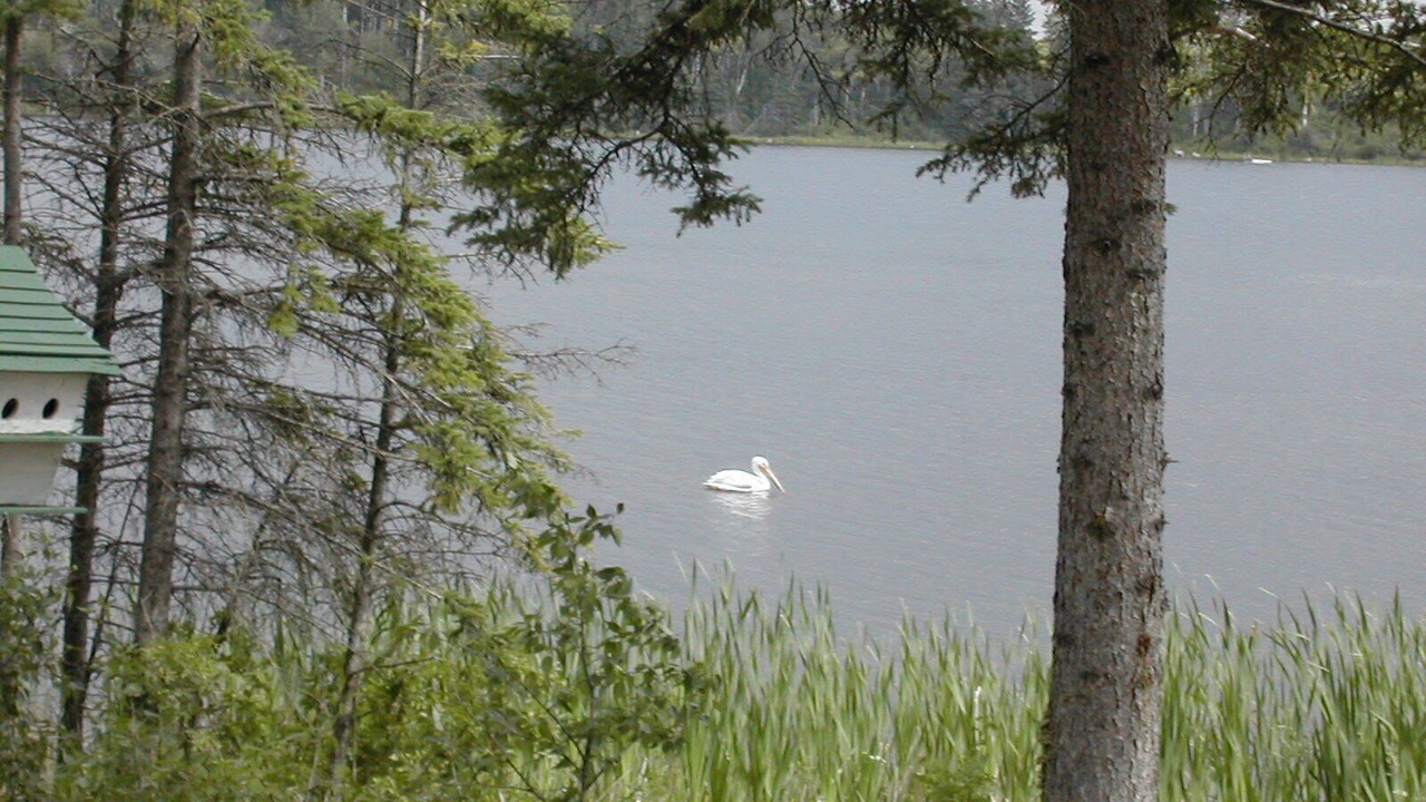 Photo of Others in Shell Lake
