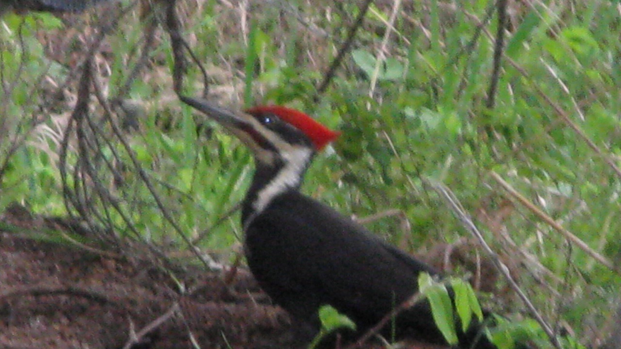 Photo of Others in Shell Lake