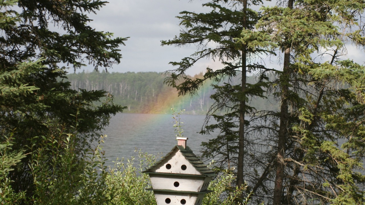 Photo of Others in Shell Lake