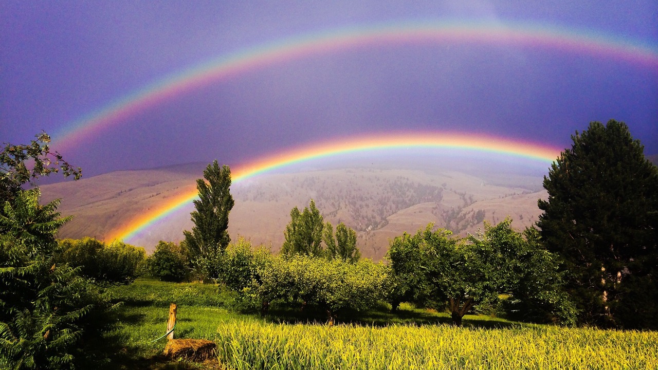 Photo of Others in Okanagan-Similkameen