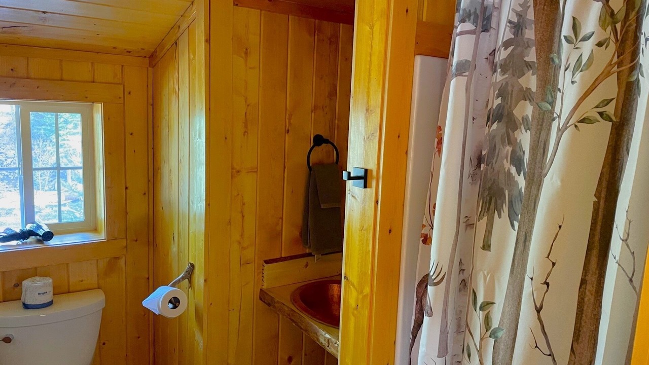 Photo of Bathroom in Almont