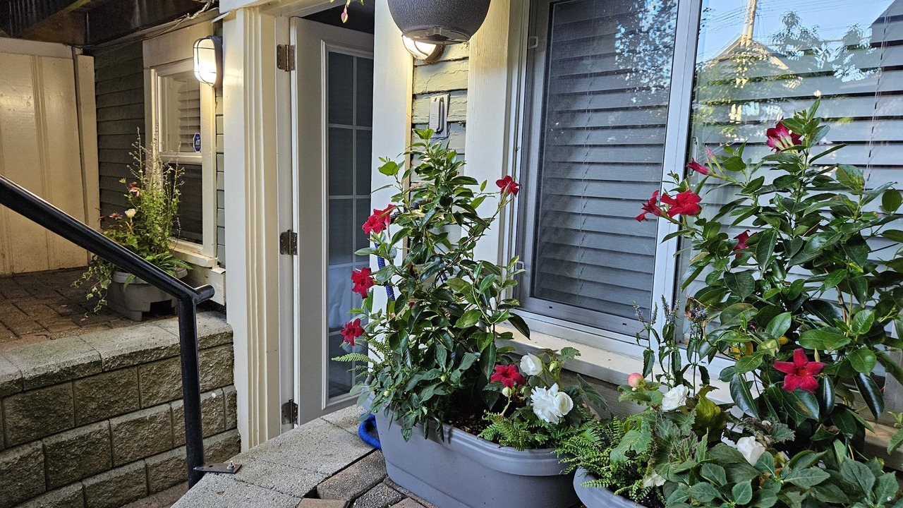 Photo of Outdoor in Grandview-Woodland